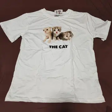 새끼 고양이 프린트 티셔츠 ONE SIZE
