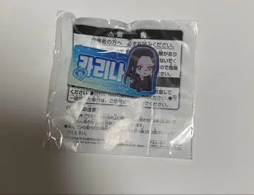 aespa 이름 아크릴 배지 남코 한정판 카리나