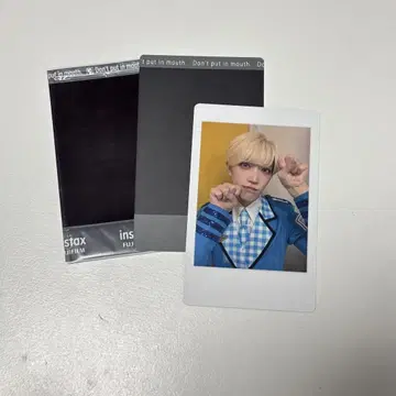 팬더 드래곤 파라곤 타이카 하피카 폴라로이드