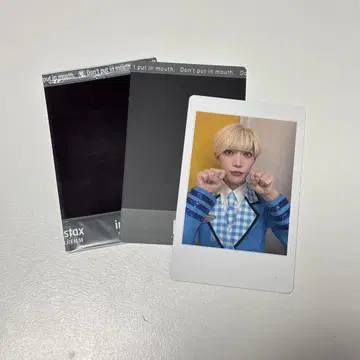 팬더 드래곤 파라곤 타이카 하피카 폴라로이드