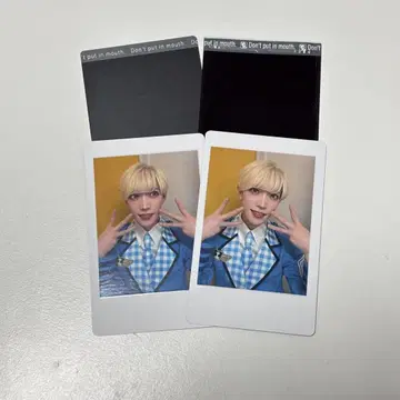 팬더 드래곤 파라곤 타이카 하피카 폴라로이드