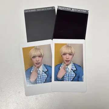 팬더 드래곤 파라곤 타이카 하피카 폴라로이드