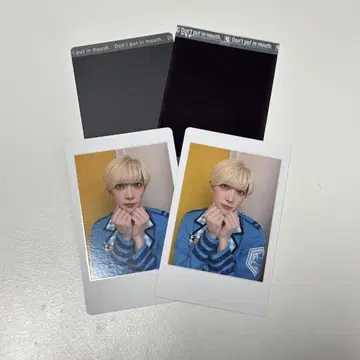 팬더 드래곤 파라곤 타이 가 히파카 폴라로이드