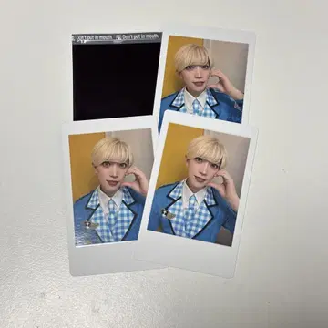 팬더 드래곤 파라곤 타이 가 히파카 폴라로이드