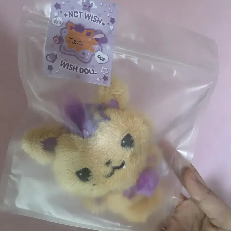 NCT | 엔시티 Nct wish wishdoll Sion doll Sio-ning wts on