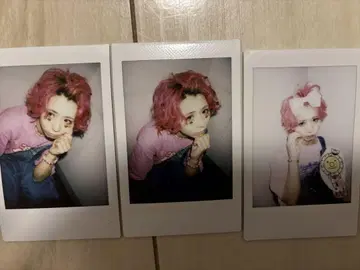 달콤한 폭력 케이 폴라로이드