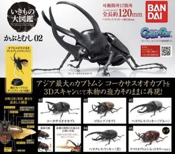 생물대도감 카부토무시 02 미개봉 새상품 컴플리트