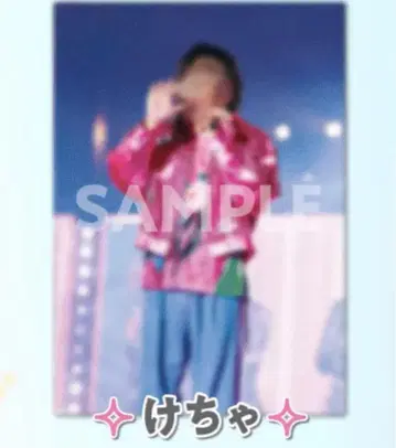 STPR EXPO 복권 B상 케챠쿤