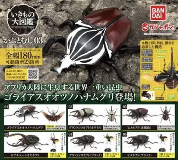 생물대도감 카부토무시 03 컴플리트 상품 미개봉 새상품