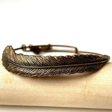 Alex and Ani 깃털 모티브 팔찌
