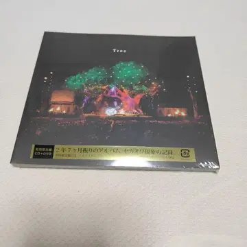 Tree 최초 한정판