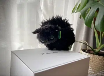 나츠카이 고양이 봉제 인형