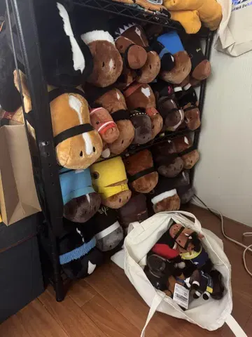 말 봉제 인형 다수 세트 30~40마리