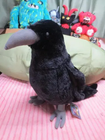 BIG! 리얼 까마귀 카타로 BIG 봉제 인형 65cm! 까마귀