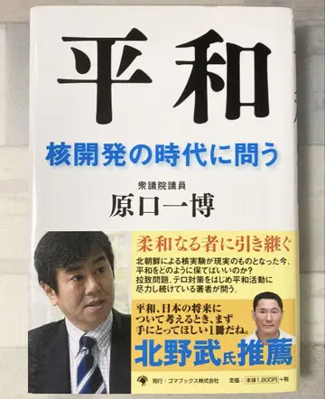 평화 : 핵 개발의 시대에 묻다 - 원구치 카즈히로