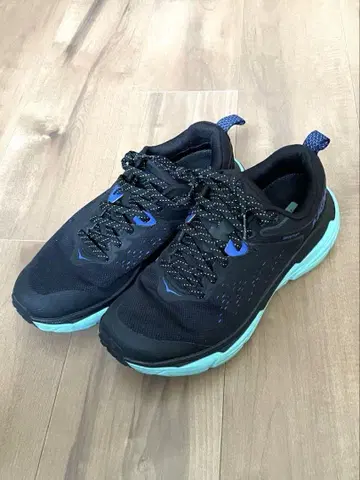 호카오네오네 HOKA ONEONE GORE-TEX 24.5cm