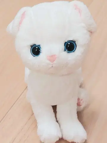 선 레몬 키톤 봉제 인형 스코티시 폴드