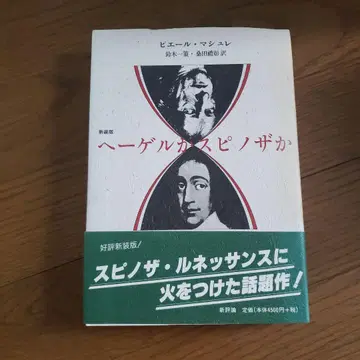 헤겔인가 스피노자인가
