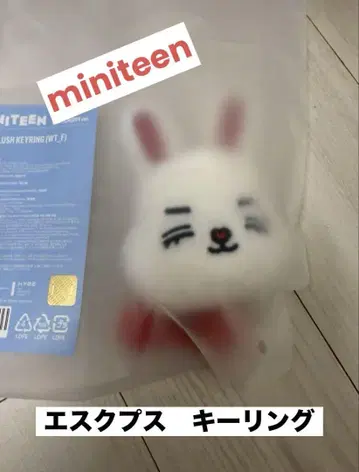 세부치 seventeen miniteen 에스크 승철 키링