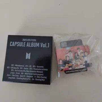 BTS 2025 페스타 캡슐 앨범 Vol.1