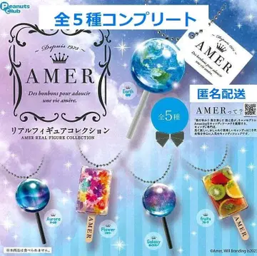 AMER 리얼 피규어 컬렉션 전 5종 컴플리트