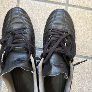 모나르시다 네오 2pro 24.5