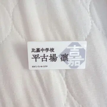 테니스의 왕자님 전시회 명찰 배지 히라코바 린