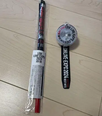 LDH EXPO LIVE 플래그 라이트 세트