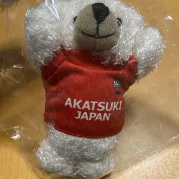 아카츠키 재팬 봉제 인형 베어 체인 키링