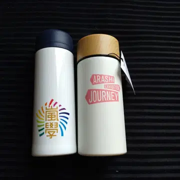아라시 포트