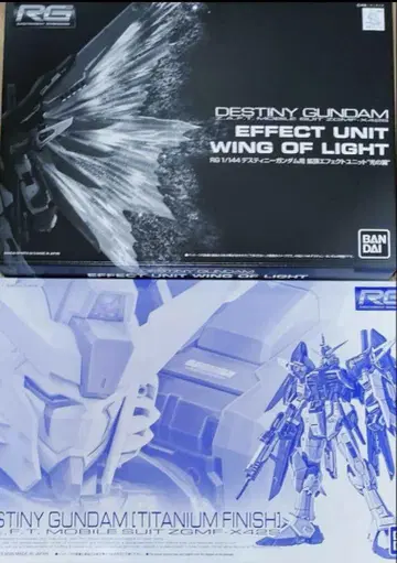 RG 1/144 데스티니 건담 티타늄 & 빛의 날개 세트