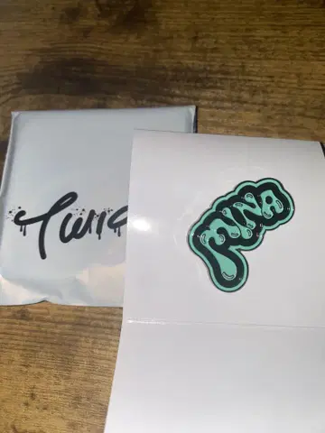 TWICE this is for 핀즈 미나