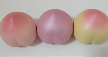 스퀴즈 블루
