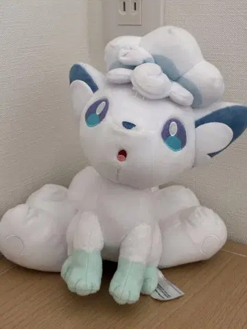 포켓몬스터 포켓몬 봉제 인형