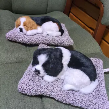 개 잠자는 모습 봉제 인형 2개 세트