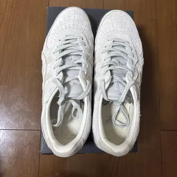 GSM/오니츠카타이거