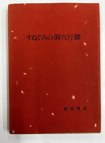 스네구로의 동굴 순례 가시마 아이히코