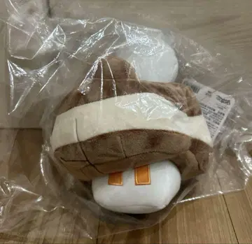 새상품 포켓몬 센터 코지오