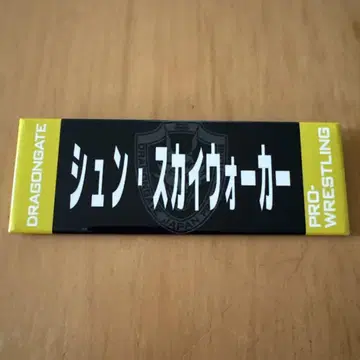 드래곤 게이트 DRAGONGATE 네임 캔뱃지 슌 스카이 워커