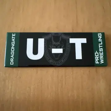 드래곤 게이트 DRAGONGATE 네임 캔뱃지 U-T