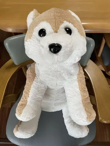 시바견 봉제 인형 중형 브라운과 화이트