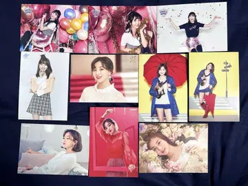 TWICE 지효 랜덤 트레이딩 카드 10장 묶음 판매