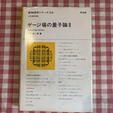 게이지 필드의 양자론 II