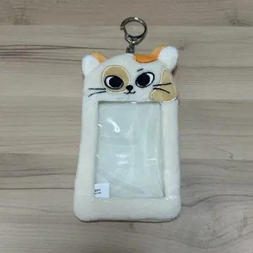 BOYNEXTDOOR CATBBI 펑크드 손호 트레이딩 카드 케이스