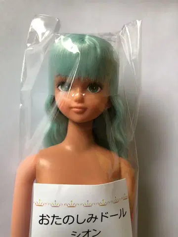 시온 일광화상 리카짱 캐슬 오타노시미 인형