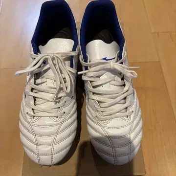 미즈노 모나르시다 네오 24.5cm 와이드
