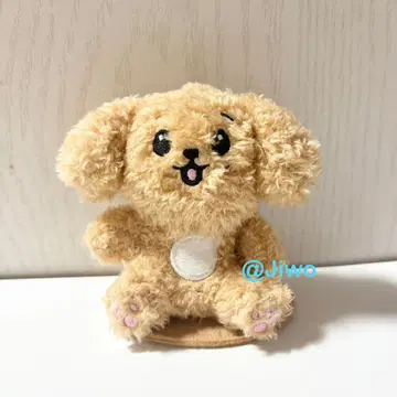 MINITEEN MAGNET PLUSH KEYRING 도겸