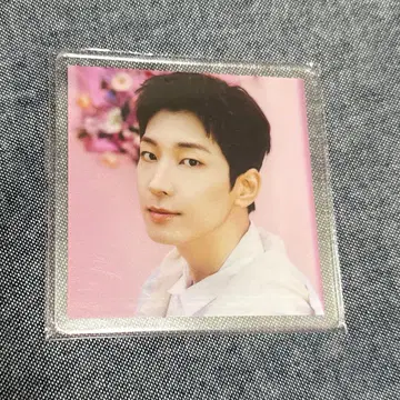 SEVENTEEN ALWAYS YOURS 아크릴 코스터 원우