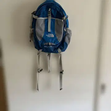 THE NORTH FACE RECON SQUASH 백팩