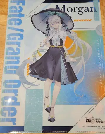 FGO 코코카라 마츠키요 클리어 파일 모건